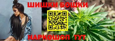 индика Первоуральск