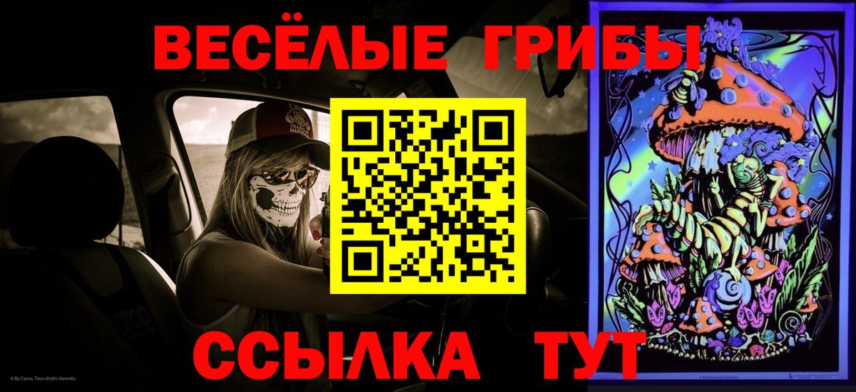 Пенза  Галлюциногенные грибы MAGIC MUSHROOMS  где продают   Вход с VPN 