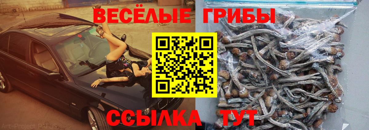 Псилоцибиновые грибы ЛСД Пенза