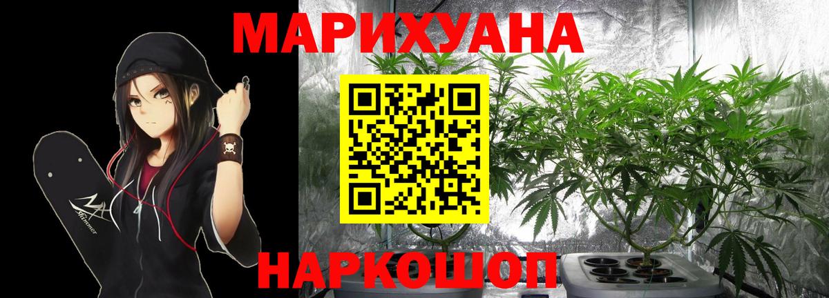 Канабис план Пенза